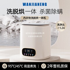 德国全自动内衣裤洗衣机洗脱烘一体家用小型高温煮洗袜子婴儿专用
