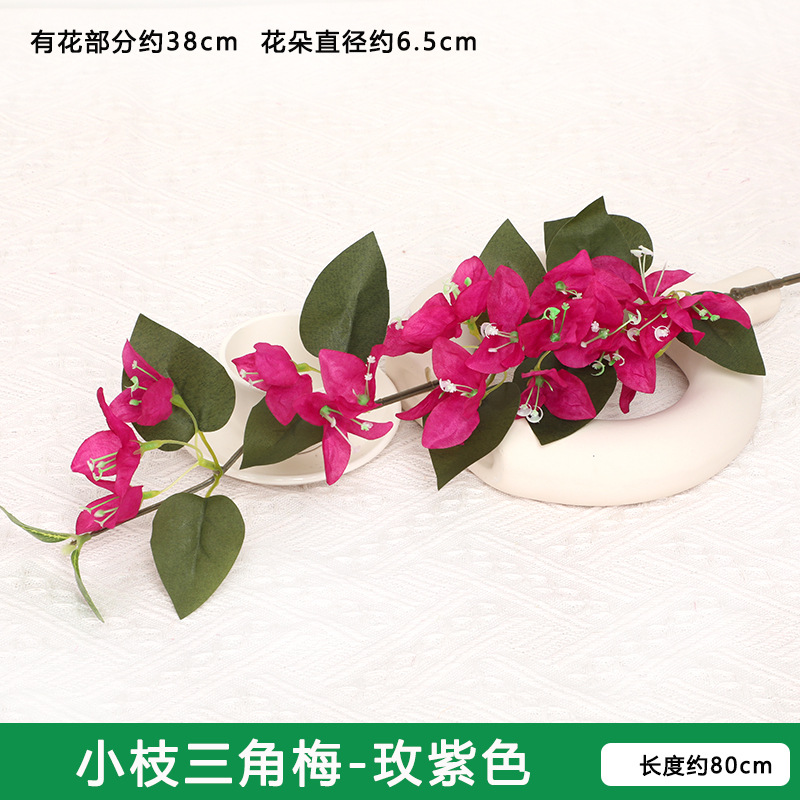 부겐빌레아 가지 - 보라색