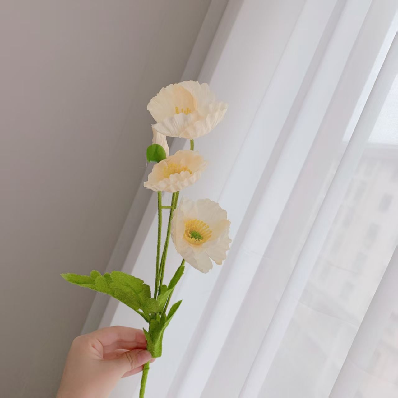 샴페인