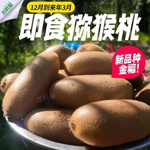 ����������ڽ𸣫J���ҾG���殐�����rˮ��Ӳ����ʳ�J�����L�l