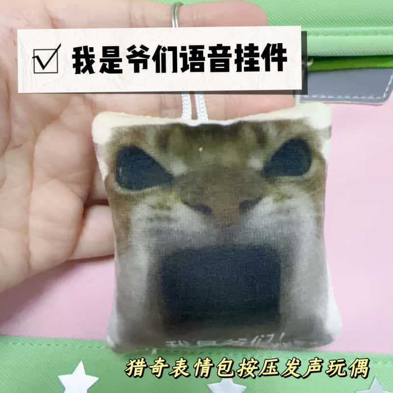 Wu Jing "I'm a Tough Guy" Press-to-Speak Pendant, Plush Toy with Cat Expression, Voice Keychain, Fun Bag Ornament Wu Jing "I'm a Tough Guy" Press-to-Speak Pendant, Plush Toy with Cat Expression, Voice Keychain, Fun Bag Ornament