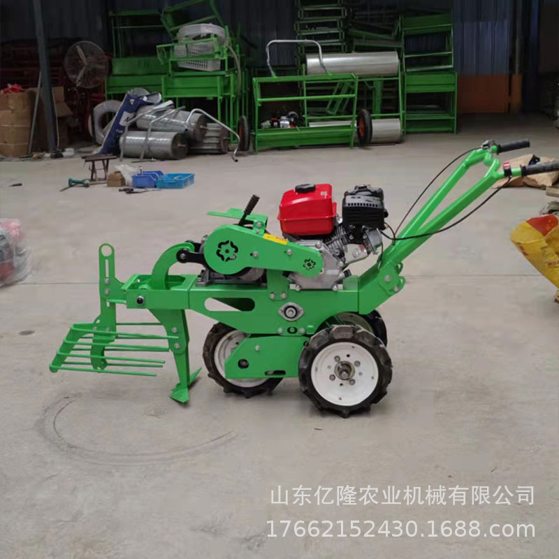 后置手扶车配套出蒜机 链轨两行起蒜机 震动抖土干净挖蒜机