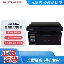 PANTUM/DM6509/M6509NW A4ڰ׼ӡӡ๦һwC