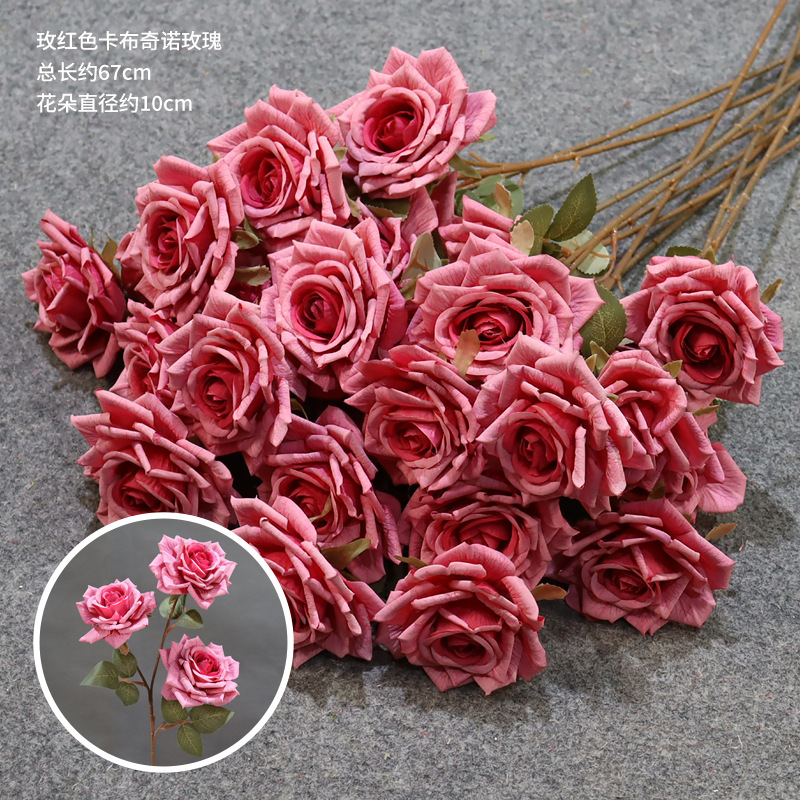 Rosa de capuchino rojo rosa