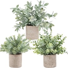 跨境廠家熱賣仿真綠植盆栽假植物ins風裝飾小盆景室內桌面擺設花