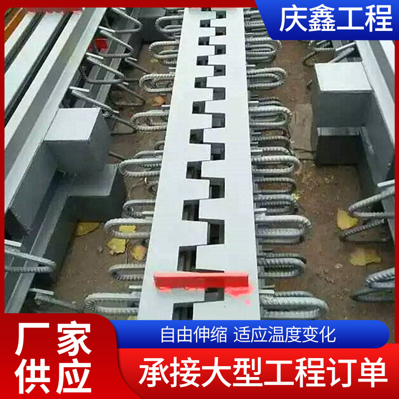 公路桥梁伸缩缝z60型c40型D80型伸缩装置变形板式减震