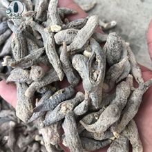 һ�����lС���х��х�ӡ���β�х����˅�400�^ȫ���������l����