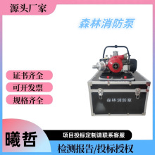 高扬程手抬机动消防泵背负式森林消防泵接力水泵便捷式抽水泵