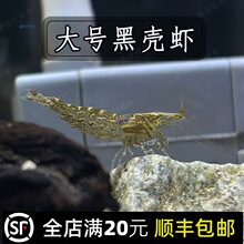 �����̖�ښ��r�~���坍��ˮ�����^�p�������w�ڼZ��ˮ���幤���r