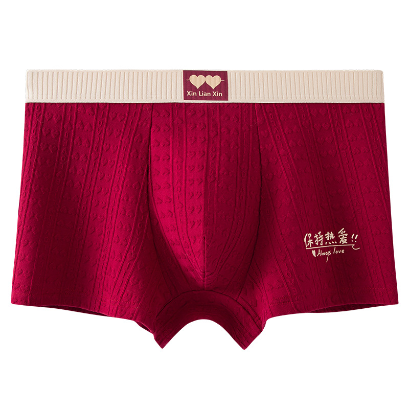 Celebración de la vida de los hombres de algodón 10A antibacteriano Jacquard gran tamaño respirable panty panty