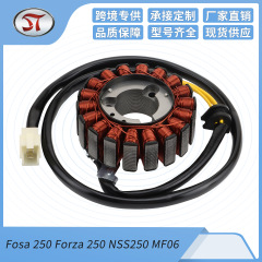 Fosa 250フォーザ250 NSS250 mf 06オートバイ点火磁気モーター固定子コイル