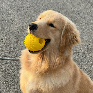 ���ﹷ������� ĥ���􎧴�eva�␞��ҧ��ߝ��X���R�d���N��Ʒ