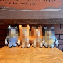 ���q�羳���в�����һ���Ӻ���������ë�q��߲�������ż���ޙC