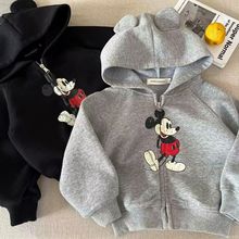 2024秋季新款儿童连帽外套男上衣小童卡通开衫宝宝拉链卫衣女洋气