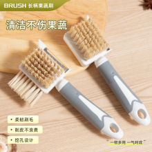 �轺����ϵ�� �߲���Ƥ�����ù�ˢϴ��ˢ������Ͱˢ�๦�����ˢ