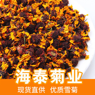 ��؛ѩ��ɢ�b����ѩ��500���½�ѩ�վջ���ԭ�������lԴ�^�S��