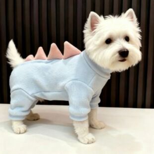 �ﶬ���_��ů��С����Ȯ�����oë؈�����������ߵذ׹�����������