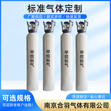 厂家批发 甲烷标准混合气 检测标准气 甲烷标气