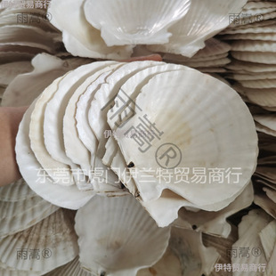 ���������ط۽z��ɫ����ؐ������ؐ�����İ뚤���бPؐ�����u