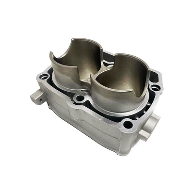 Polaris 800 RZR800 – Cylinder and parts