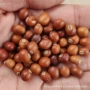 跨境四角豆四棱豆种子