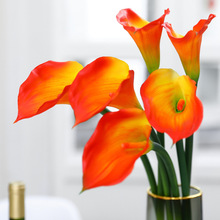 �Ҿ��҃��b������ָ��R��ɏ������Y���滨PEܛ�z�����R��ɏ