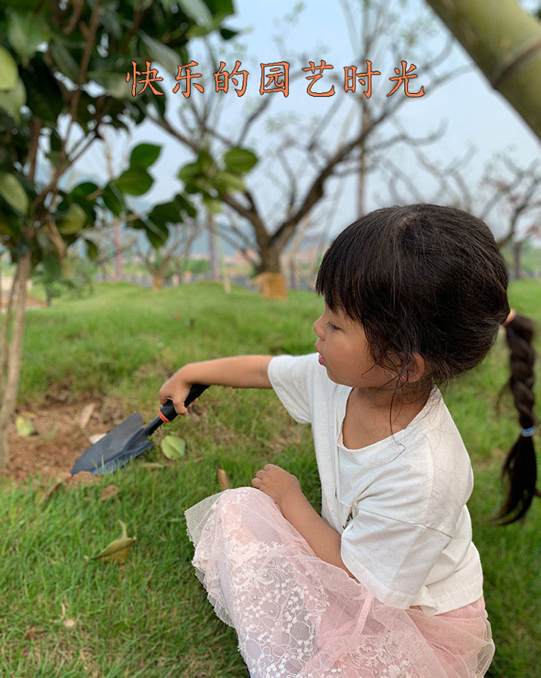 a7e350f9-ba2d-4a3a-9bc8-7e072c122357.jpe