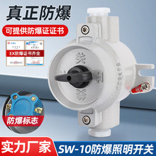 ������������220V��������SW-10���Ͻ��ˮ����BZM�Ӻ�ת������
