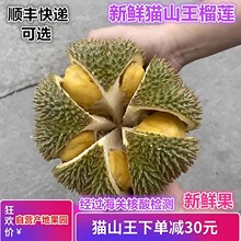 猫山王榴莲新鲜带壳特产应季水果现摘10斤泰国小巴掌顺丰金榴莲枕