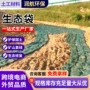 防水护坡植草河道生态袋
