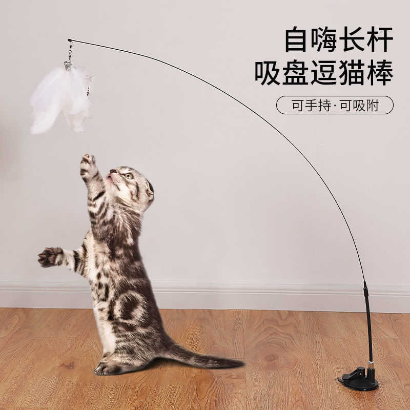 Factory spot strong suction cup cat teaser feather bite-resistant matching replacement head cat toy self-Hi Rod boredom relief artifact