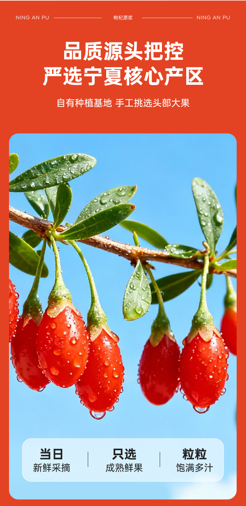 Ning'anbao Goji Berry Puree 1.8L Bagged Ningxia Goji Juice Concentrate quality and texture