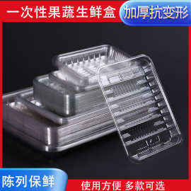 一次性透明塑料盒打包盒无盖长方形蔬菜水果托盘超市用生鲜果品盒