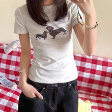 ��ʽ�����������t��Ů�ļ��D�c��ӡ����ɫ�̿�tee�����@�����³�