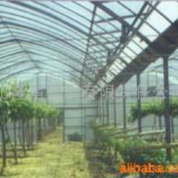 供应农用塑料大棚膜PO膜黑白膜养殖膜双防膜规格全厂家发货