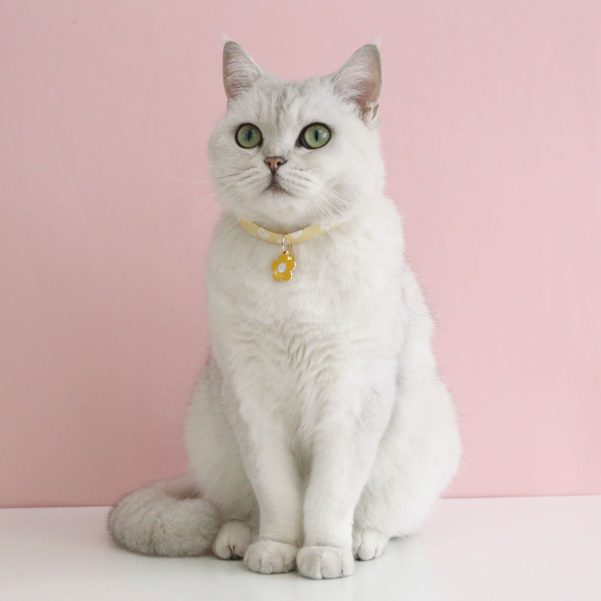 QQ图片20221009155748