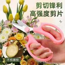 花艺剪刀鲜花插花剪刀花艺师用修枝剪家用剪修花剪刀园艺剪花剪