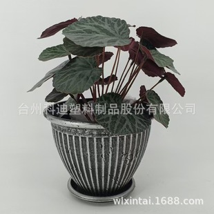 �S��ֱ�NKD9933ɫ���ϻ���Ҿӿ͏d�[�OͥԺ�Nֲ���b羳����