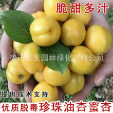 �����Ә����½��t���Ә����ش��Ә���ͥԺ�ϱ����Nֲ����Y������