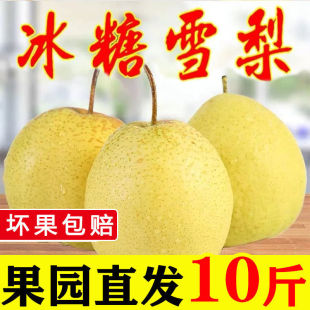 ������ѩ�桿�����������r10������ѩ���摪��ˮ���ʹ��殔�����]