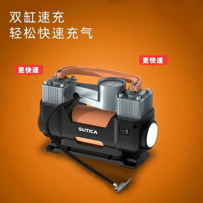Hava nasosu, Tire Inflator Portable