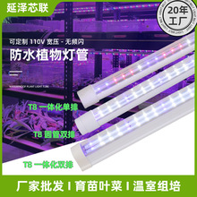 全光谱T8一体化植物灯管IP65防水温室组培植物叶菜花卉层架生长灯