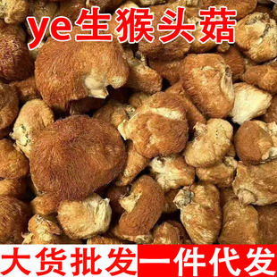 ���^����χS�����^�����^�����^����ë���^����؛���l���l