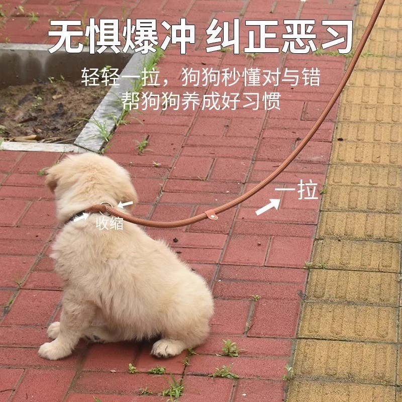 犬用リード、防爆チェーン、小型犬、中型犬、大型犬のお散歩用品、犬用リード、Pロープ、Pチェーン、犬用散歩ロープ|undefined