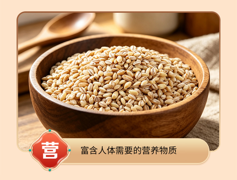 Hulled Barley Kernels Da Mai Ren Hordeum vulgare Roasted Peeled Grain for Soy Milk and Grinding 25kg Bulk Bag in use