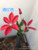 Tielian Cao Zili Flower Manufacturer directly offers a wedding hotel home decoration spot supply wholesale