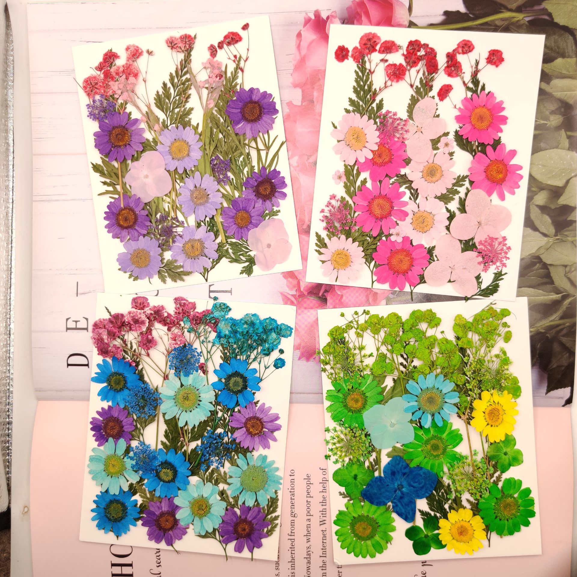 微信图片_20230720102724