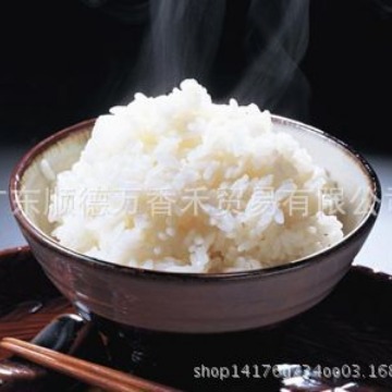 专业大米出口商出口供应优质白米香米珍珠米寿司米糯米