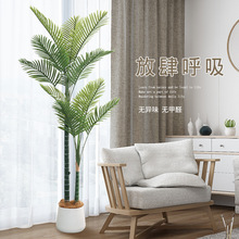 �������ÿ����Լ٘��k�������̈������Gֲ���쾰�҃ȿ͏d�b[��