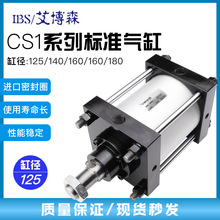 ��׾���׼����CS1FN CS1BN140/160-50-75-100-125-150-200CDS1BN
